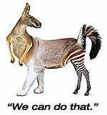 Image of Animal Composite